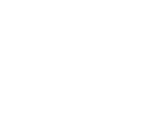 Darkhorse Geospatial