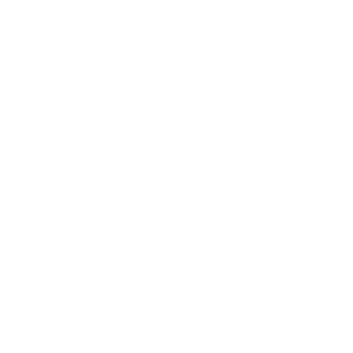 Lexicus Press | Jacqueline Widmar Stewart