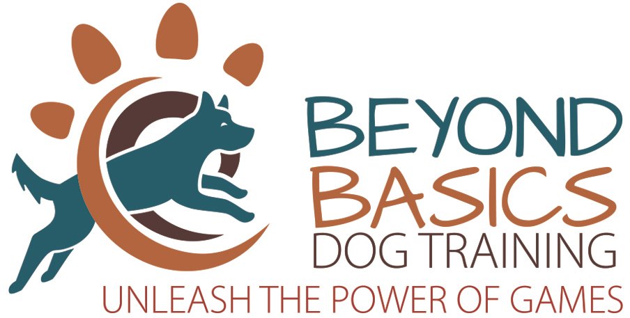 Beyond Basics Dog Training