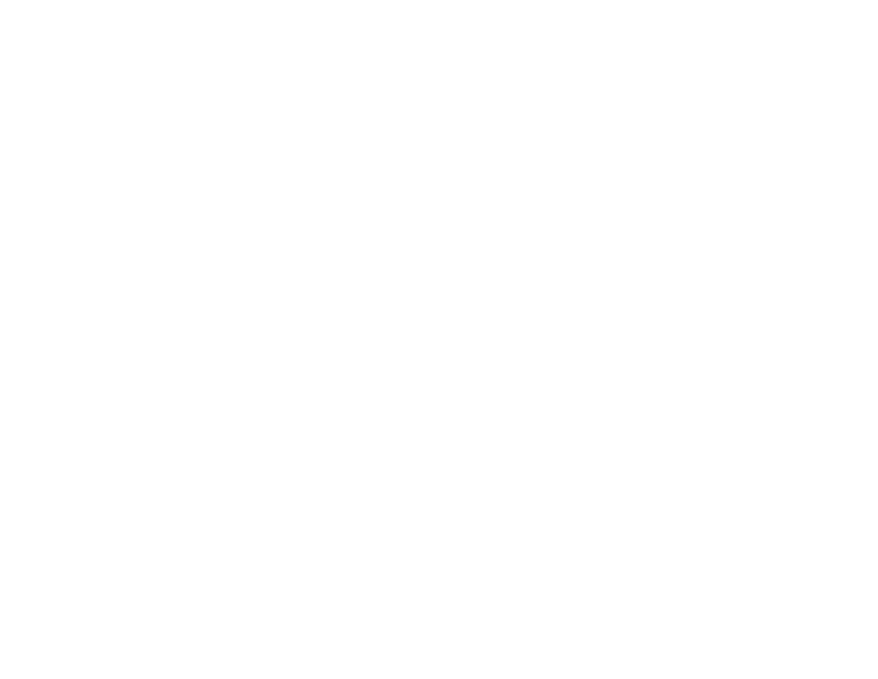 The Hair Initiative