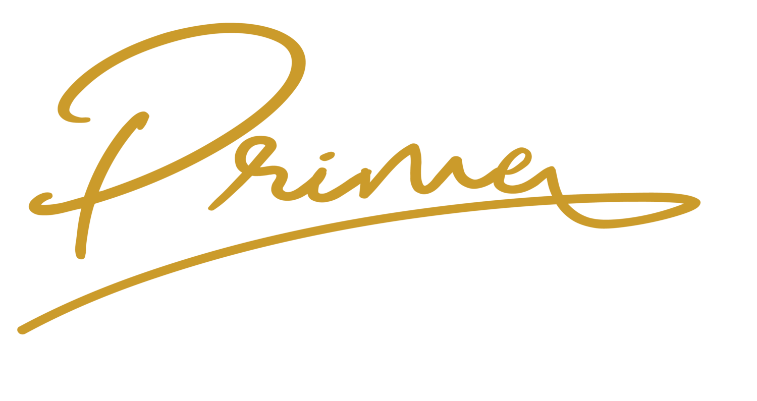 Prime Proposal Group | RFP, Bid &amp; Grant Writing | Creative Design | Business Consulting