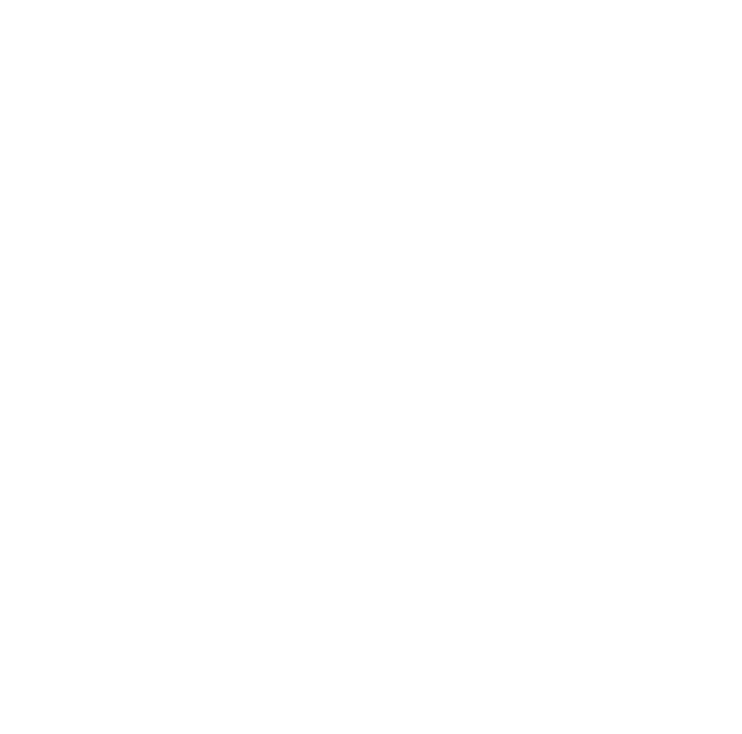 The Bleha Group