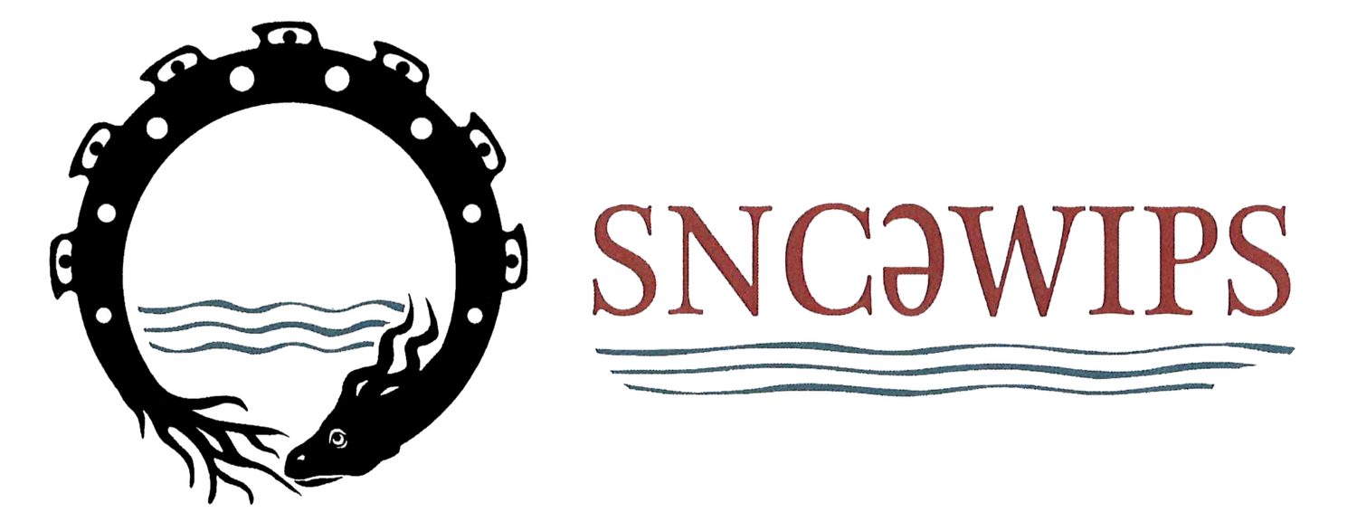 Sncewips