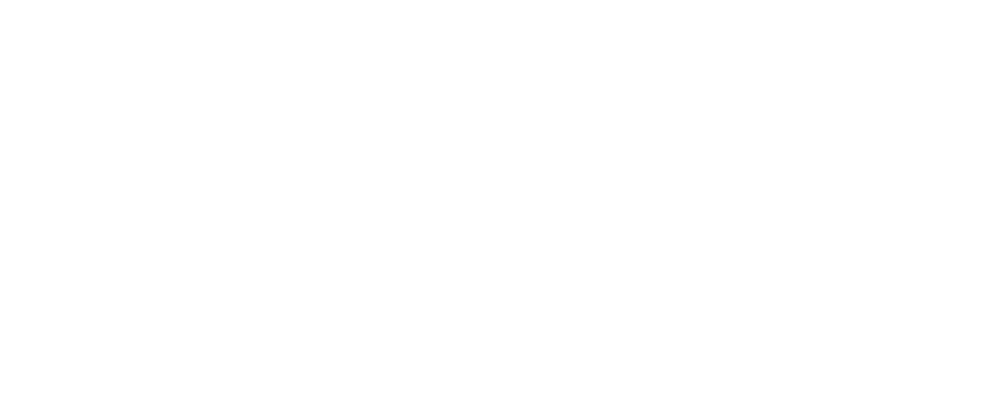 Disco Cycle