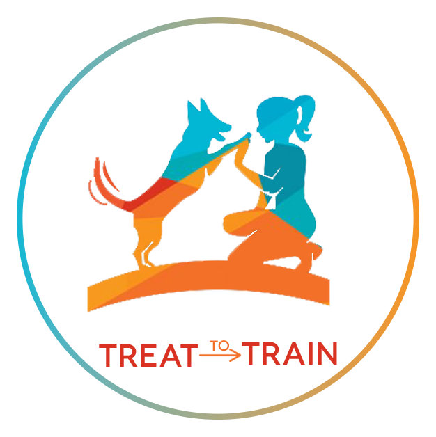 Dog Training Pretoria
