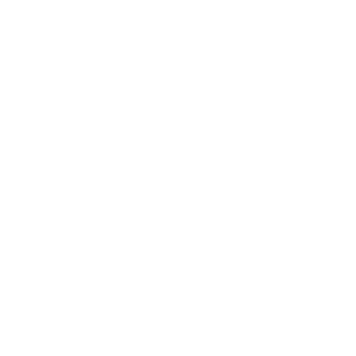 The Amendment Project