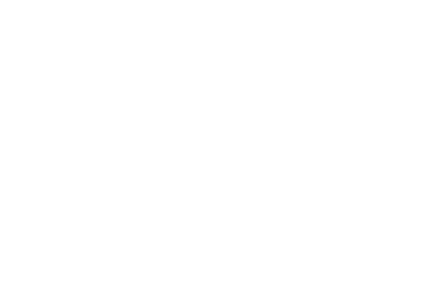 Touchstone IQ