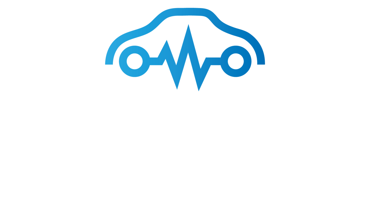 The Automotive Expert