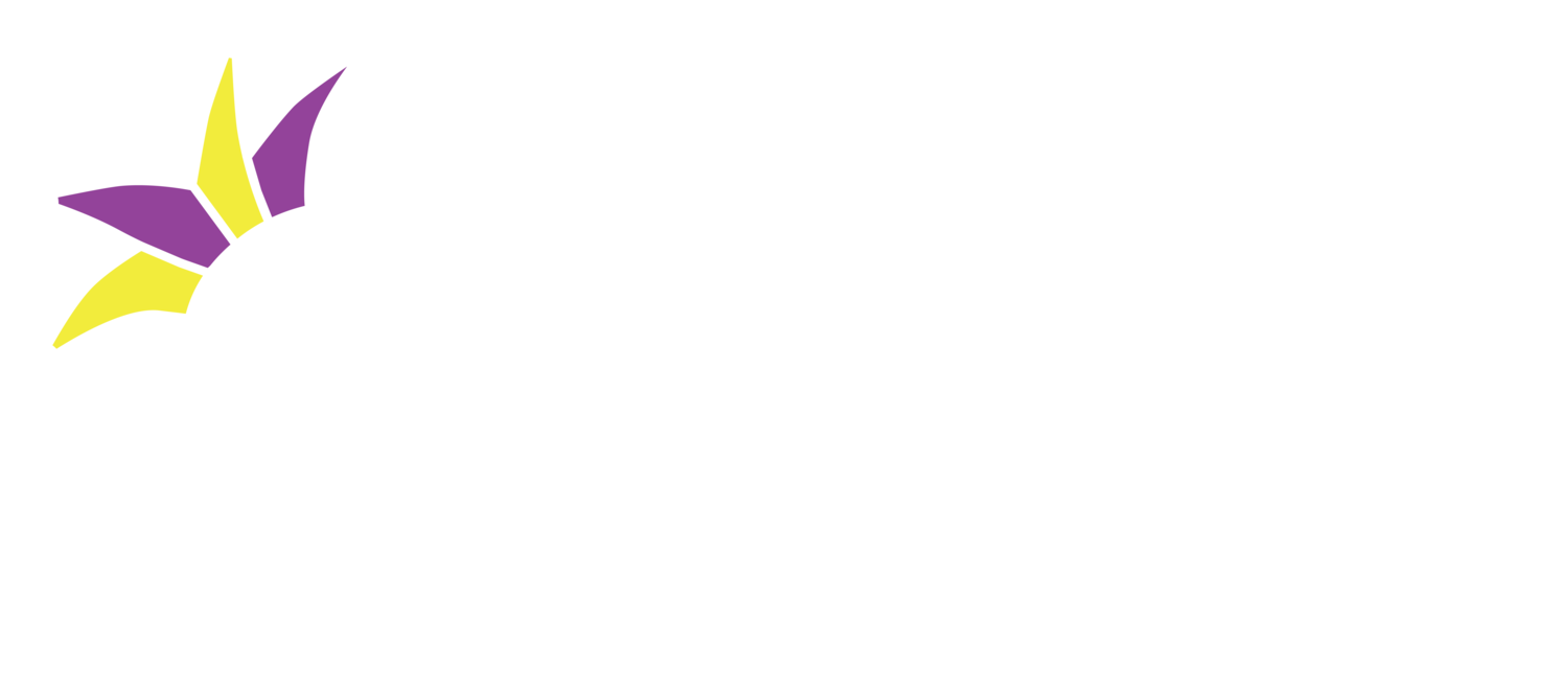 The Costume Club