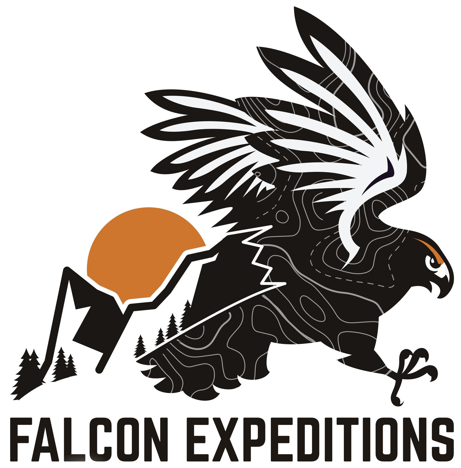 Falcon Expeditions