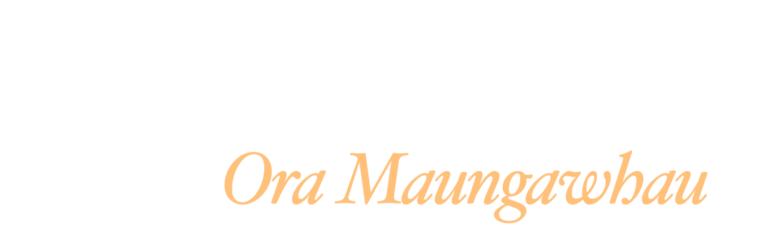 Mt Eden Medical Centre