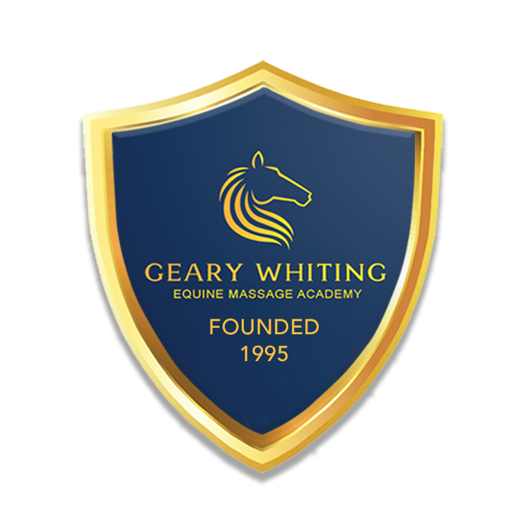 Geary Whiting&#39;s Equine Massage School for Horse and Rider.