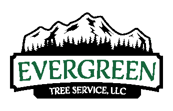 Evergreen Tree Service LLC