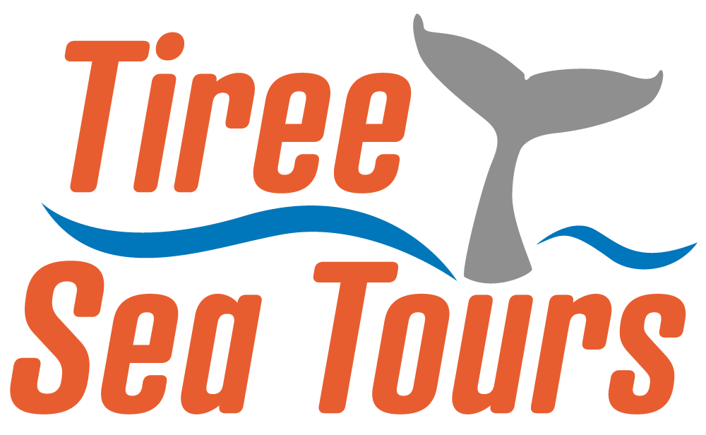 Tiree Sea Tours