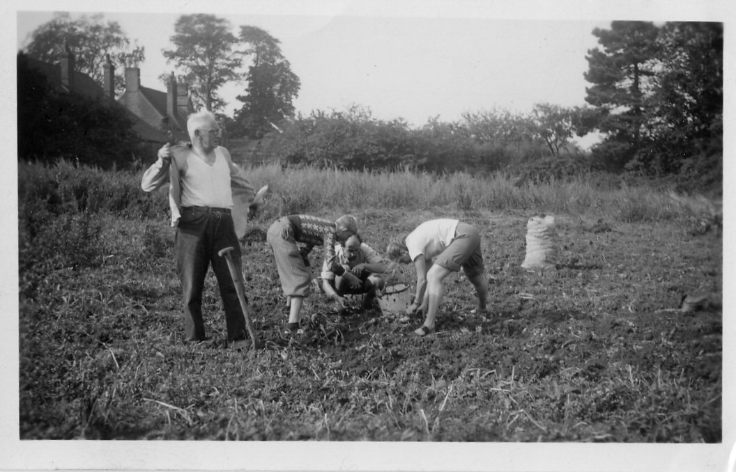 Neill digging 1946.jpg