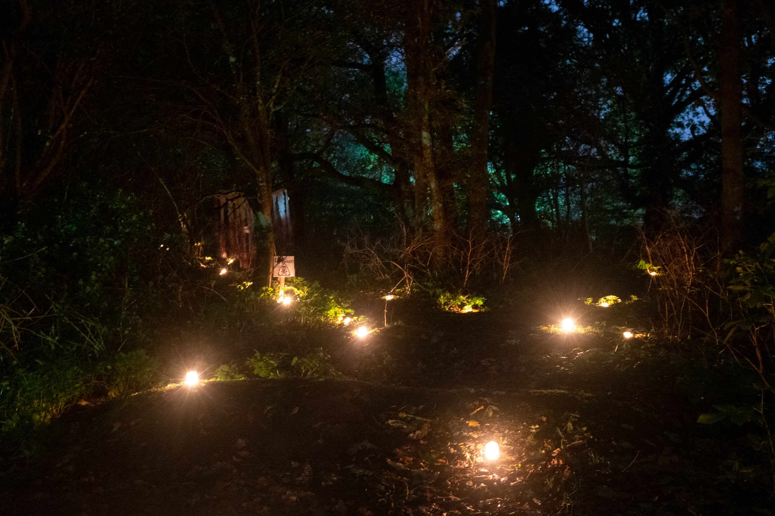 Halloween tour through the woods