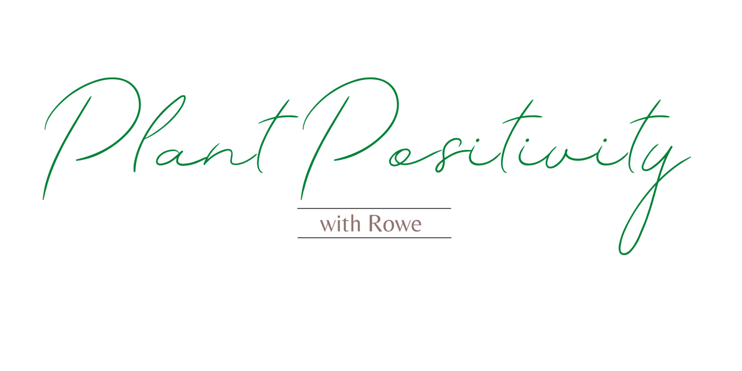 Plant  Positivity with Rowe
