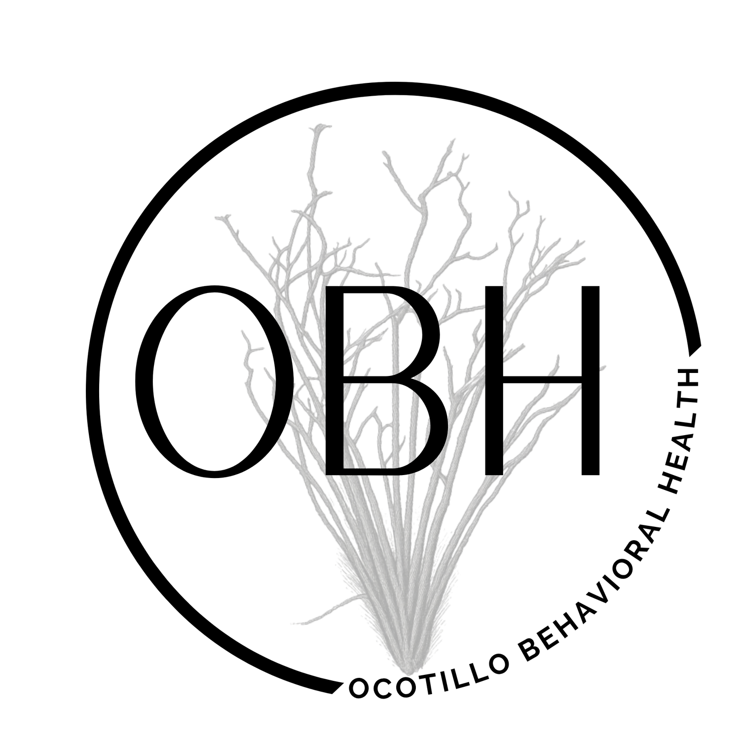 Ocotillo Behavioral Health