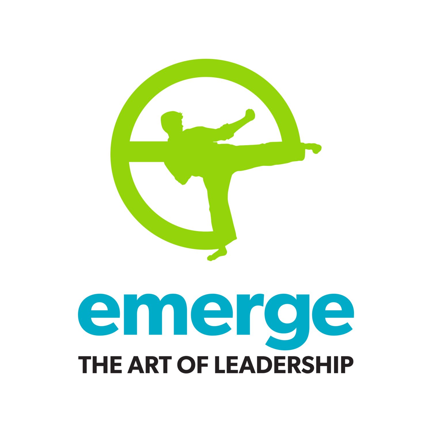 Emerge- The Art of Leadership