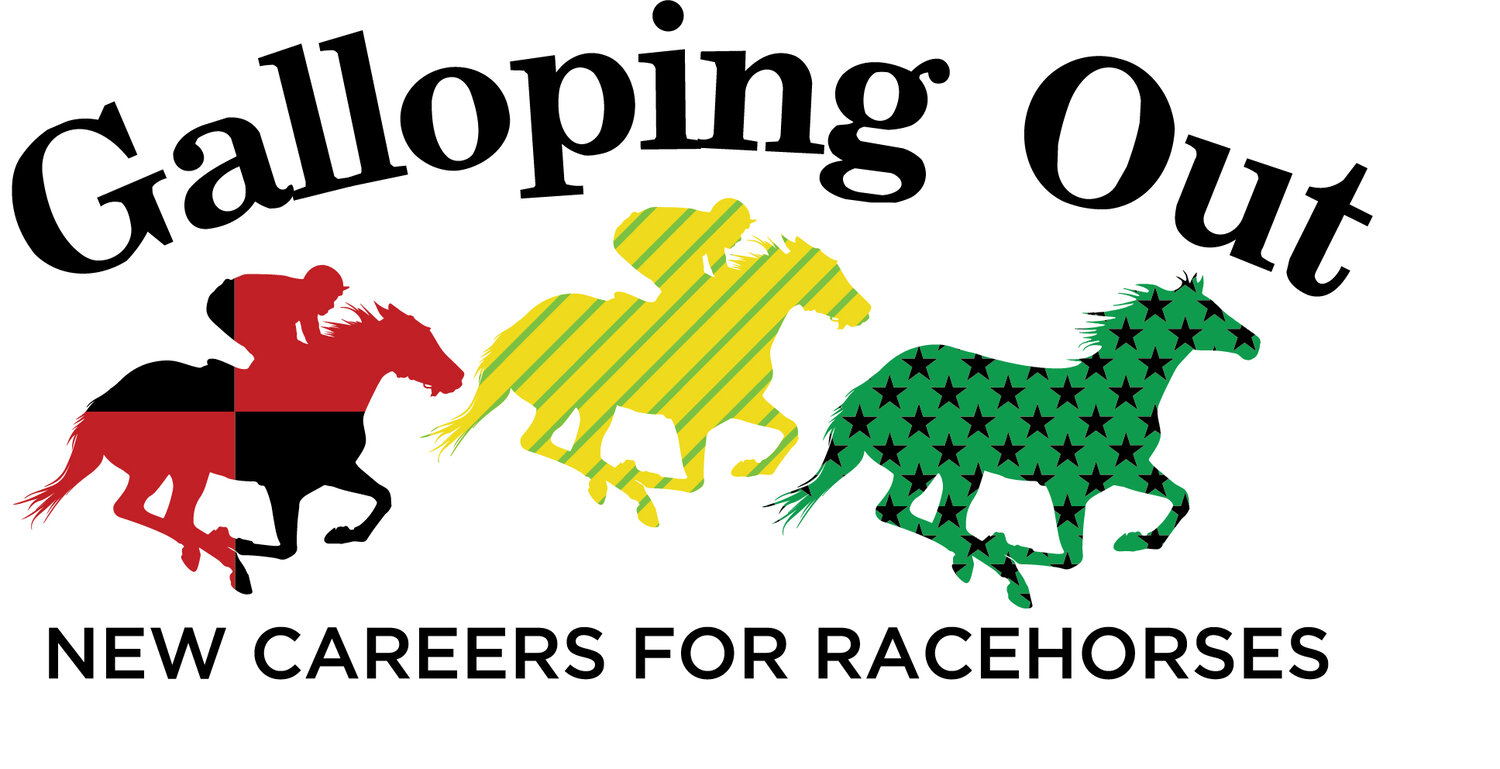 Galloping Out Horses for Sale-Adoption