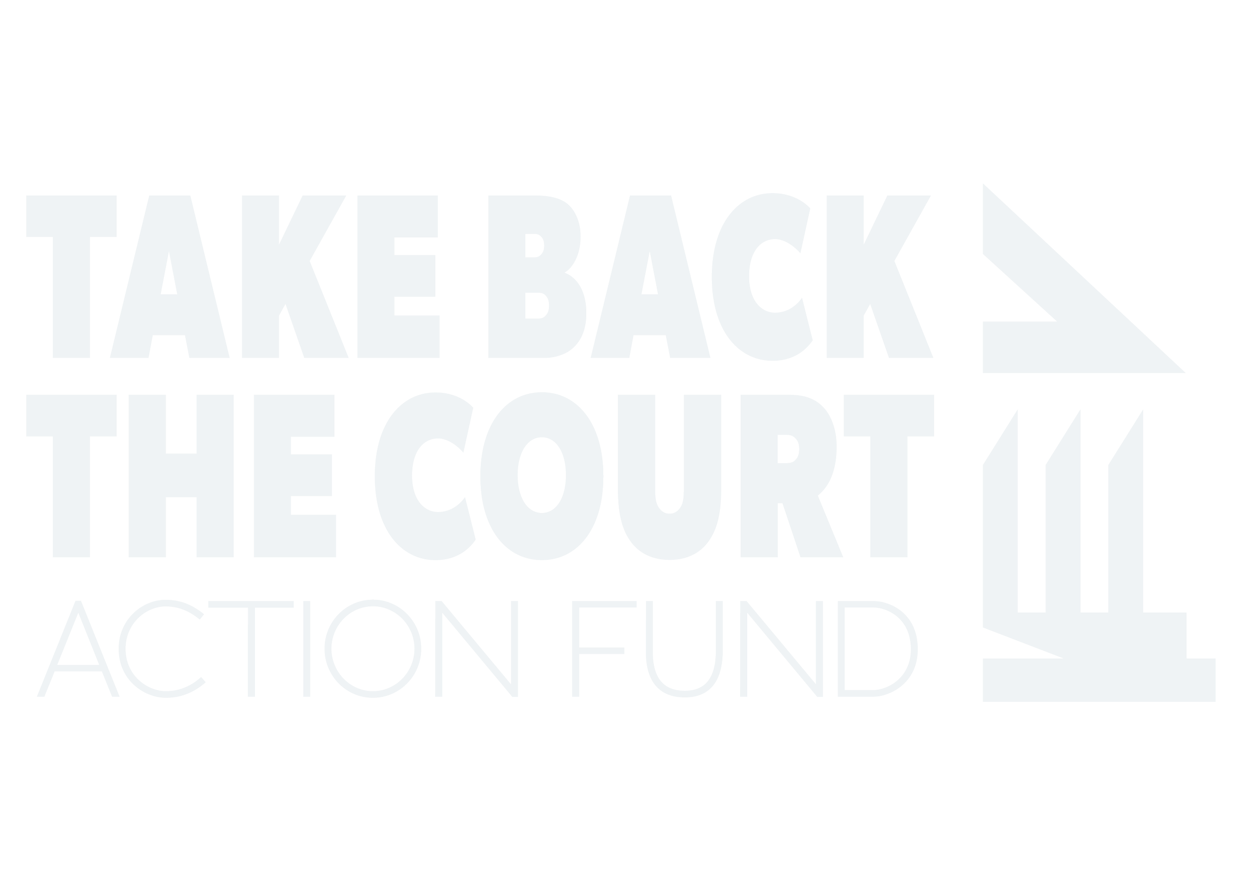 Take Back the Court Action Fund