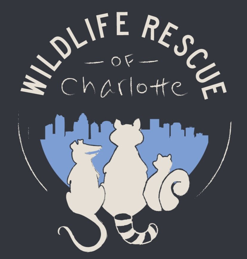 Wildlife Rescue of Charlotte
