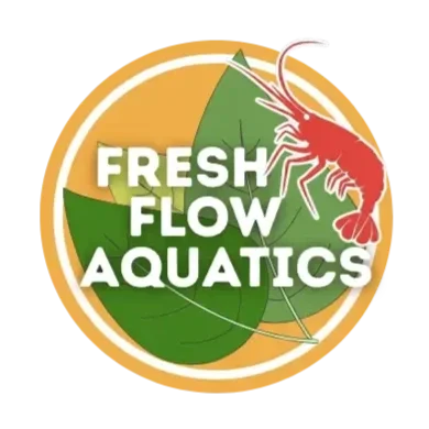 Custom Freshwater Aquariums and Maintenance Northern Colorado