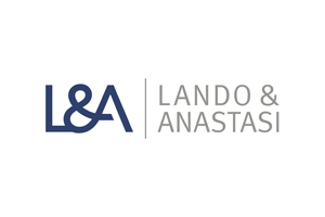 Litigation Associate