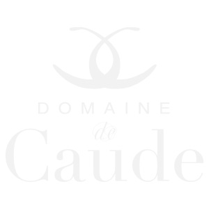 Domaine de Caude vins Côtes de Gascogne vigneron à Montréal du Gers