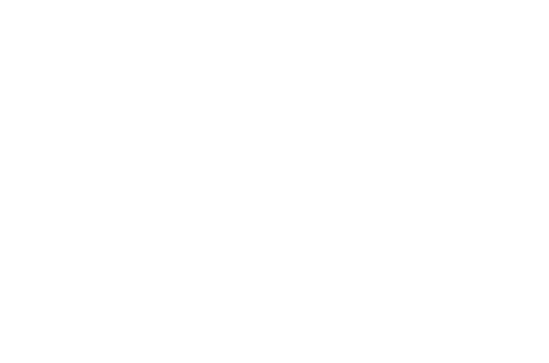 Christopher Levarn Productions