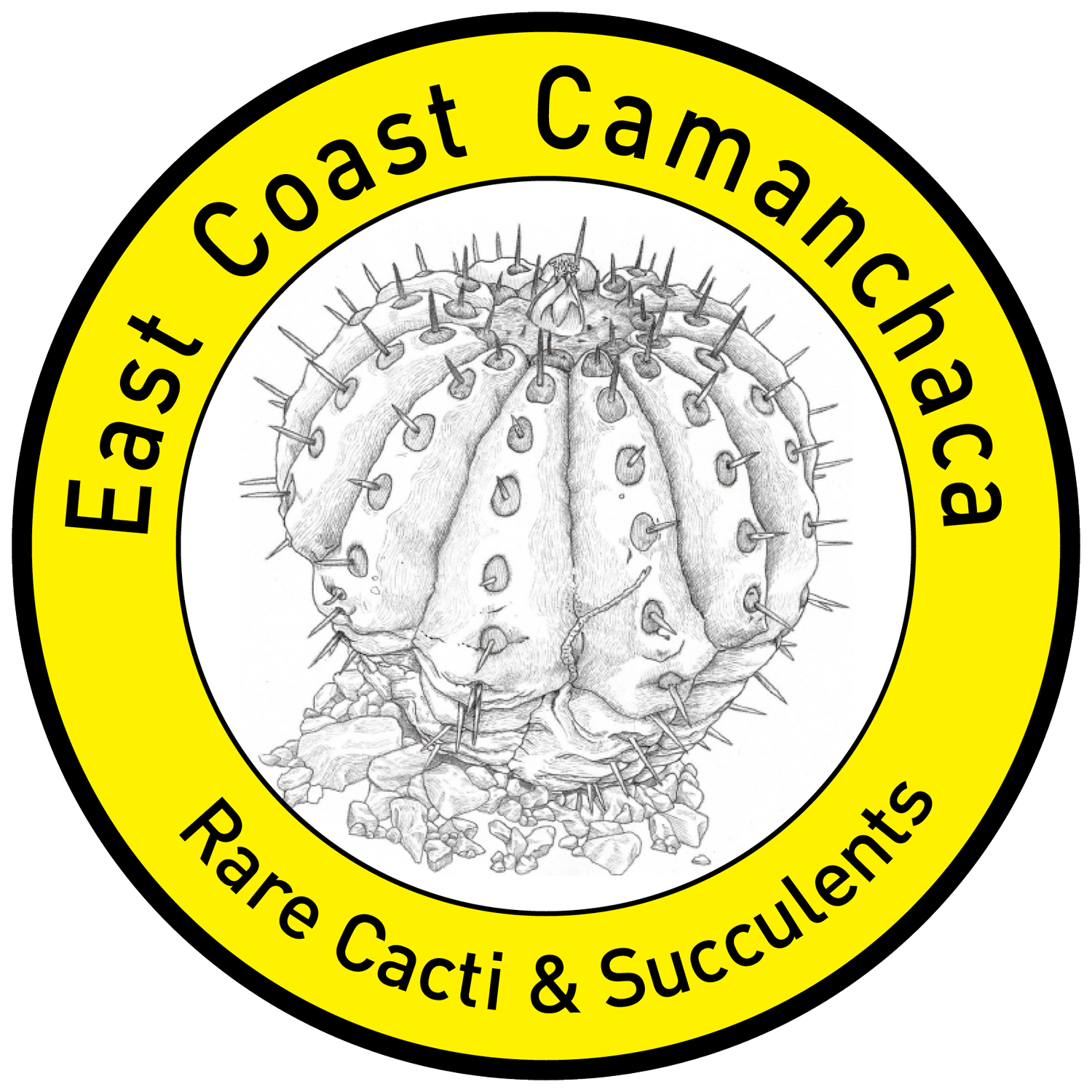 East Coast Camanchaca
