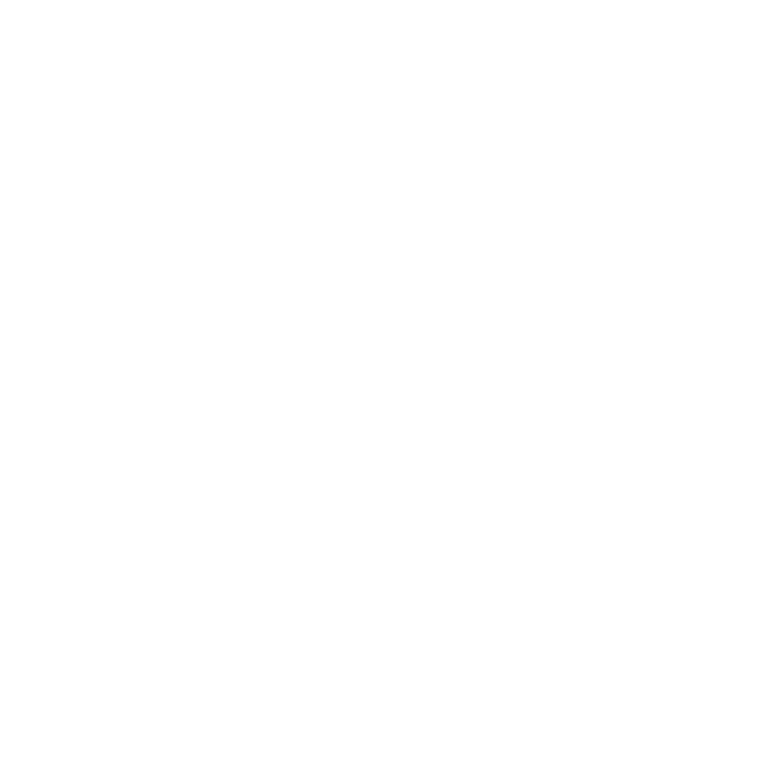 Toccara Renee | Athlete. Advocate. Storyteller.