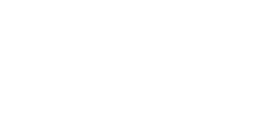 Rachel H. George Portfolio