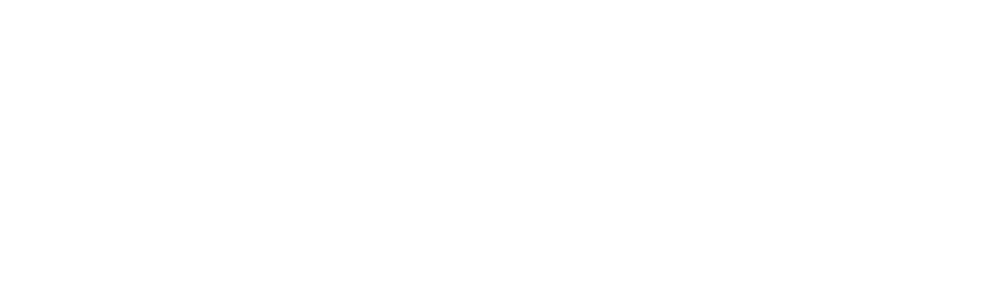 Salma Hasan Ali