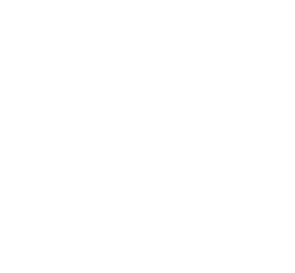 Salma Hasan Ali