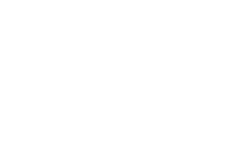 Nick Paschalis