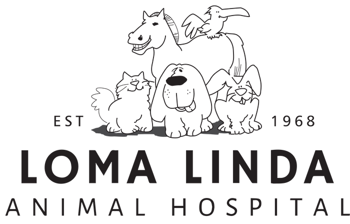 Loma Linda Animal Hospital