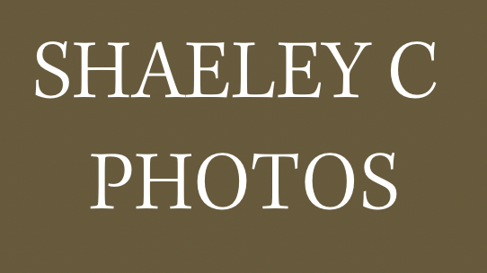 Shaeley C Photos
