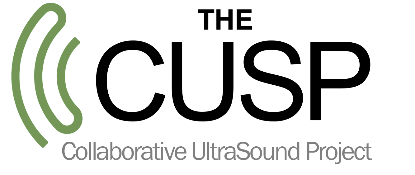 Collaborative UltraSound Project