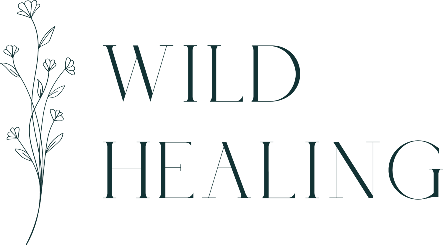 Wild Healing