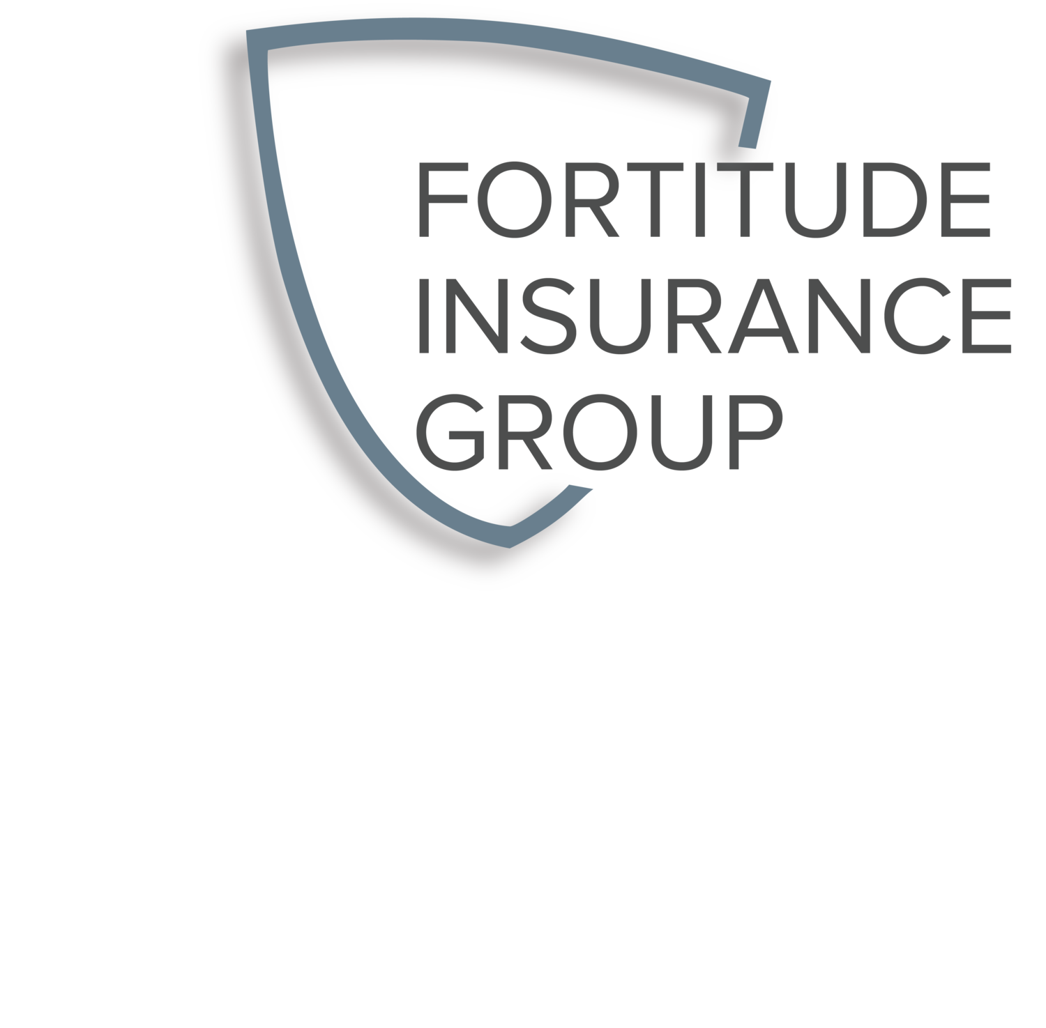 Fortitude Insurance