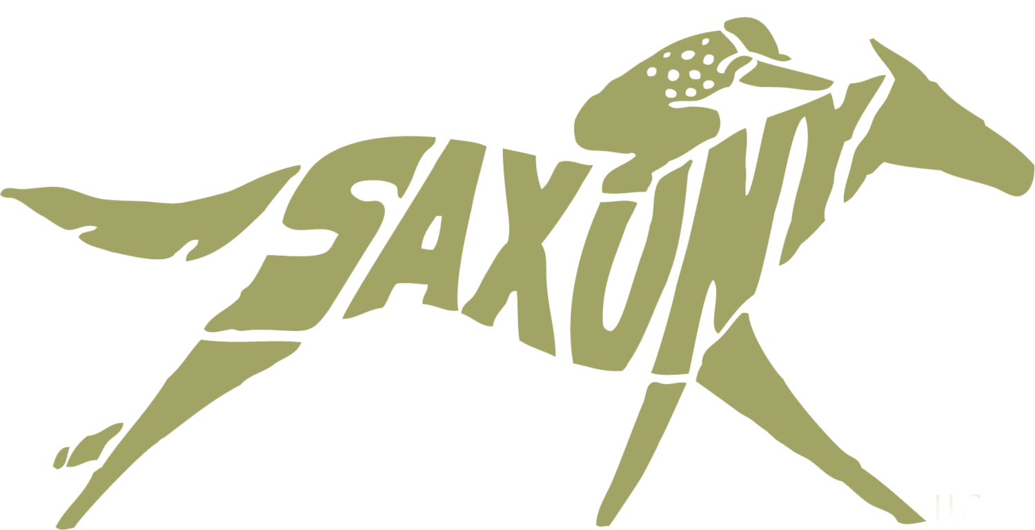 Saxony 