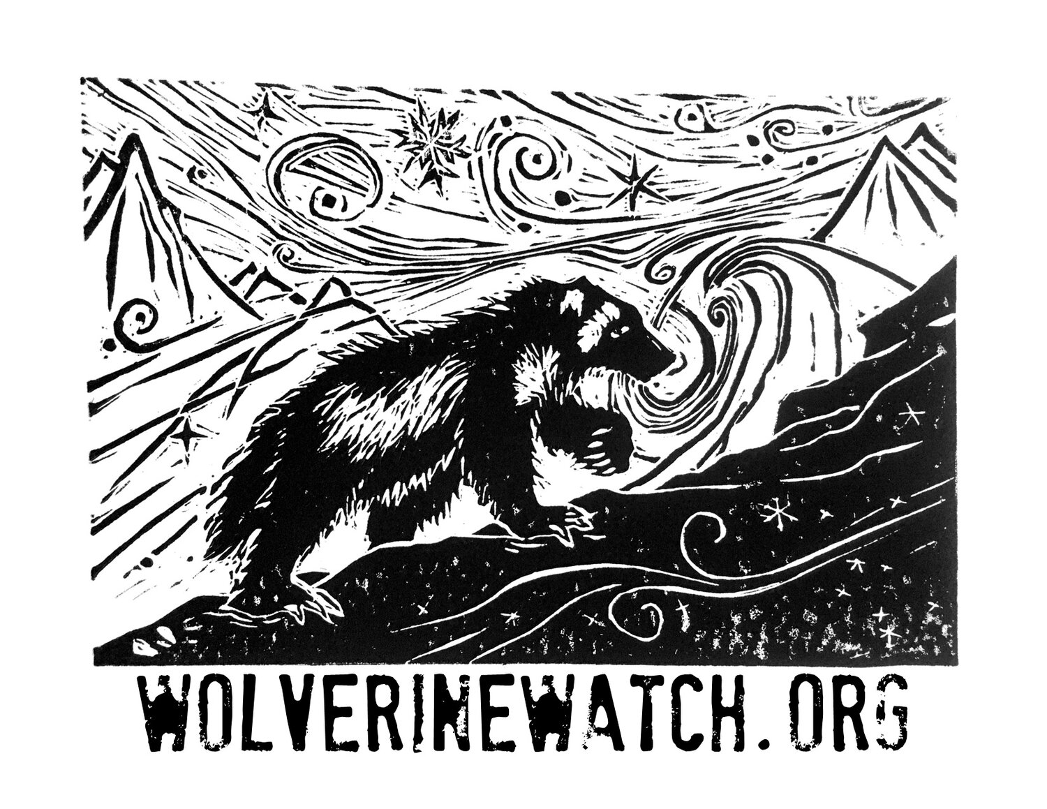 wolverinewatch.org