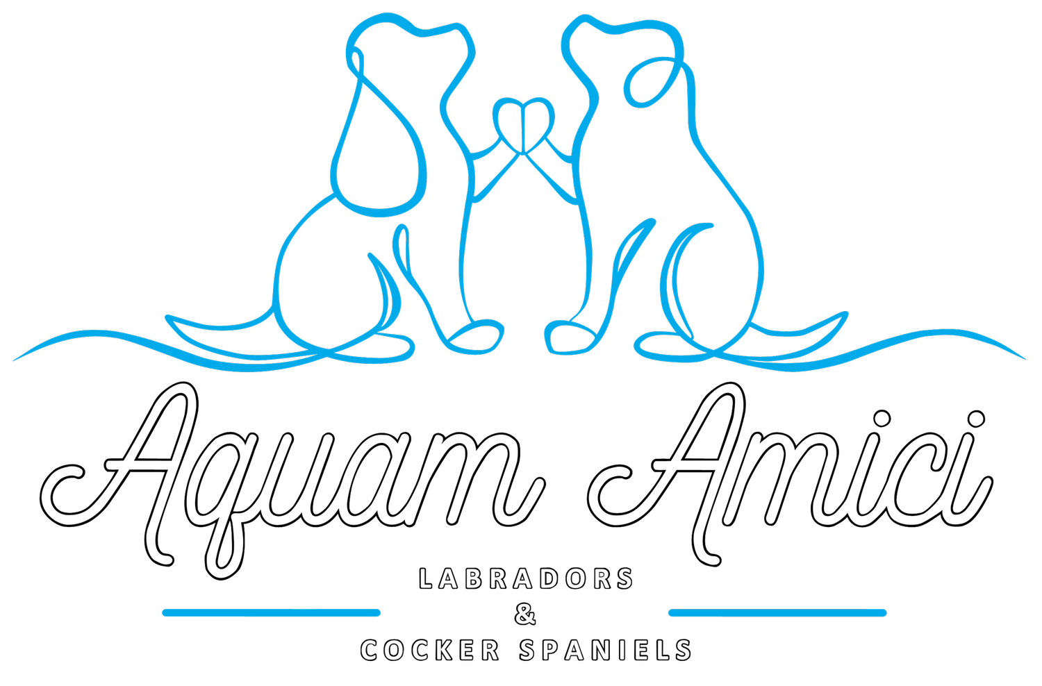 Aquam Amici Labradors &amp; Cocker Spaniels