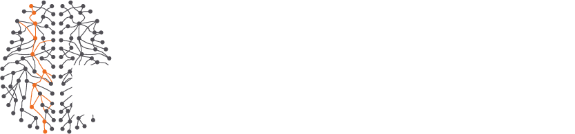 The Laboratory of Human Biomimetics 