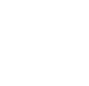 VSR Ink