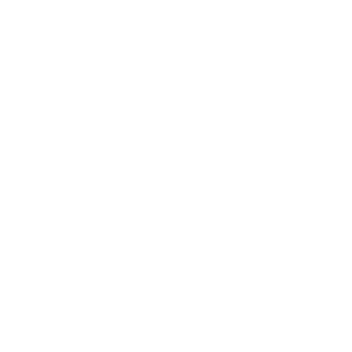 Kelly Brinkmann