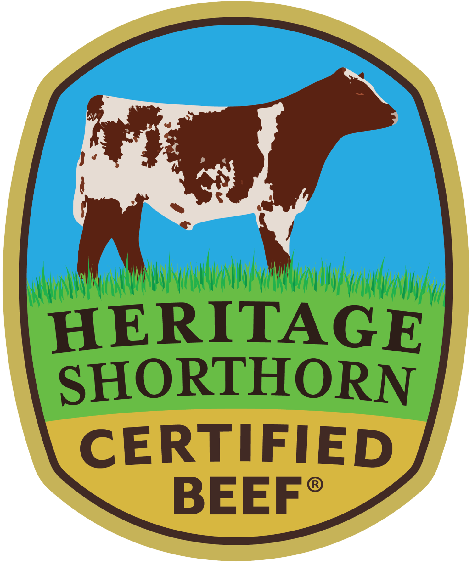 Heritage Shorthorn Certified Beef