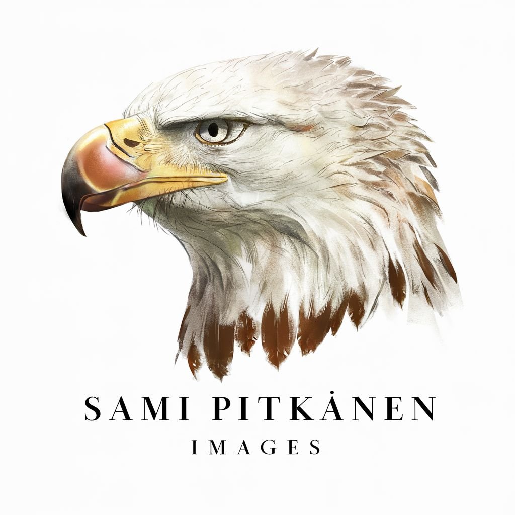 SAMI PITKÄNEN IMAGES