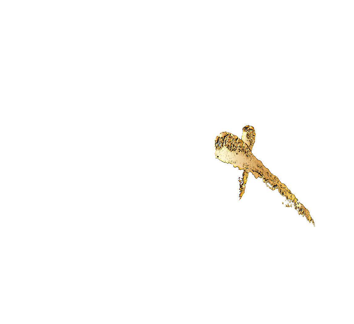 Waging War Ministries 